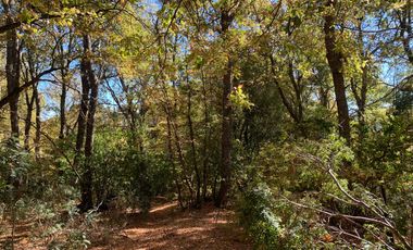 Se vende parcela a metros de la Reserva Altos de Lircay