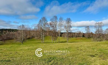 CAMPO 16.45 HA TEGUALDA / FRUTILLAR