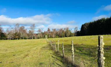 CAMPO 16.45 HA TEGUALDA / FRUTILLAR