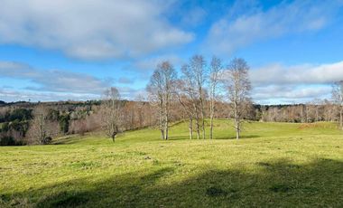 CAMPO 16.45 HA TEGUALDA / FRUTILLAR