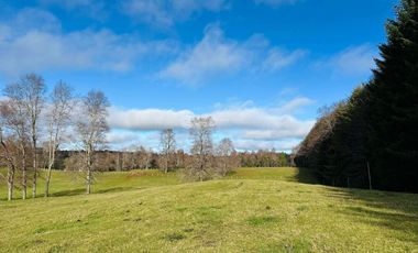 CAMPO 16.45 HA TEGUALDA / FRUTILLAR