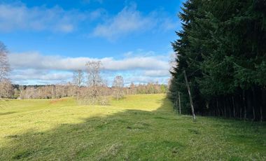 CAMPO 16.45 HA TEGUALDA / FRUTILLAR