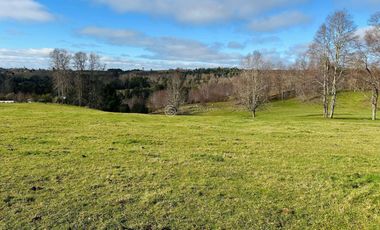 CAMPO 16.45 HA TEGUALDA / FRUTILLAR