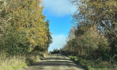 CAMPO 16.45 HA TEGUALDA / FRUTILLAR