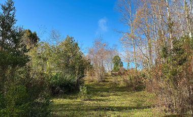 CAMPO 16.45 HA TEGUALDA / FRUTILLAR