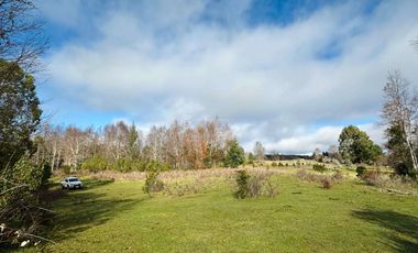 CAMPO 16.45 HA TEGUALDA / FRUTILLAR