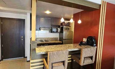 HERMOSA SUITE EN ALQUILER ELITE BUILDING