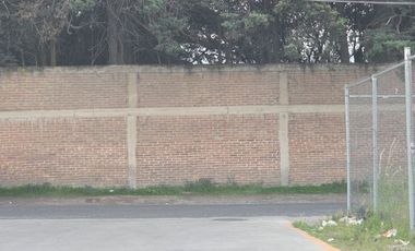 Terreno en renta atrás de AUTOZONE