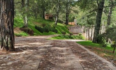 Terreno en Venta en Fracc. Cardo Santo en Tapalpa