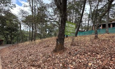 Terreno en Venta en Fracc. Cardo Santo en Tapalpa