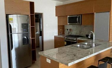 Departamento en Renta en Cabo San Lucas, El Tezal