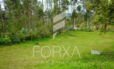Terreno en Venta, Sector Sigsipamba, Deleg