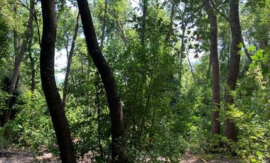 Se vende hermosa parcela de agrado, en Vilches Alto