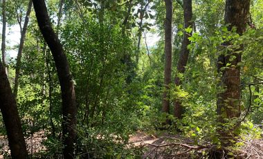 Se vende hermosa parcela de agrado, en Vilches Alto