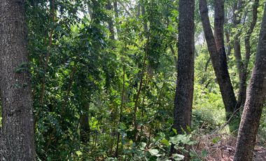 Se vende hermosa parcela de agrado, en Vilches Alto