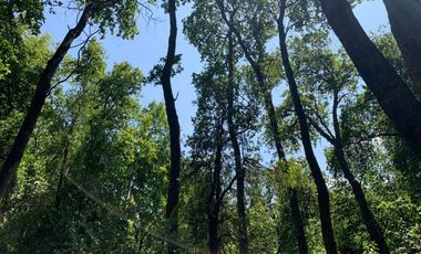 Se vende hermosa parcela de agrado, en Vilches Alto