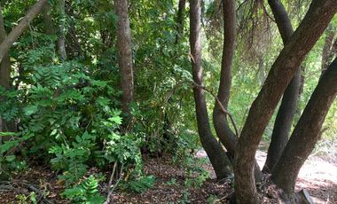 Se vende hermosa parcela de agrado, en Vilches Alto