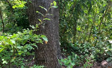 Se vende hermosa parcela de agrado, en Vilches Alto