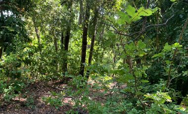 Se vende hermosa parcela de agrado, en Vilches Alto