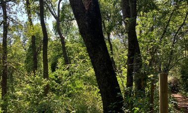 Se vende hermosa parcela de agrado, en Vilches Alto