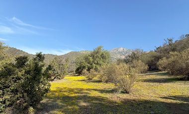 Naturaleza Y Plusvalía En Un Solo Lugar: Parcelas En Aculeo!