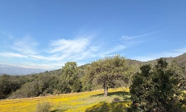 Naturaleza Y Plusvalía En Un Solo Lugar: Parcelas En Aculeo!