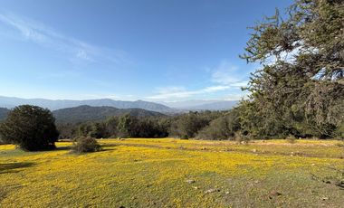 Naturaleza Y Plusvalía En Un Solo Lugar: Parcelas En Aculeo!
