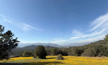 Naturaleza Y Plusvalía En Un Solo Lugar: Parcelas En Aculeo!