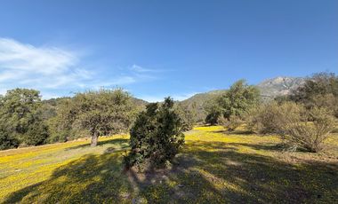 Naturaleza Y Plusvalía En Un Solo Lugar: Parcelas En Aculeo!