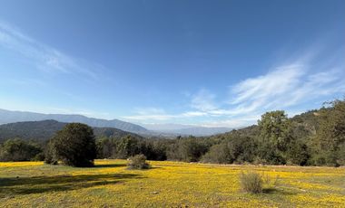 Naturaleza Y Plusvalía En Un Solo Lugar: Parcelas En Aculeo!
