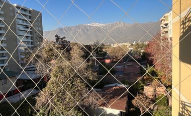 Siria / Quilín