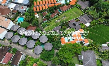 Freehold land sale tiyiing tutul pererenan Canggu 1350m²
