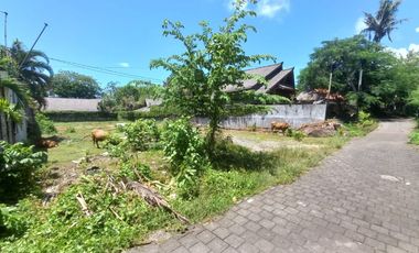 Freehold land sale tiyiing tutul pererenan Canggu 1350m²