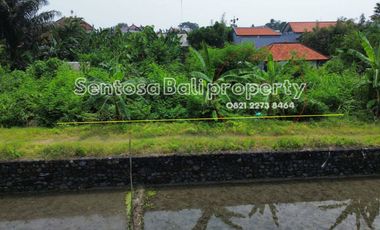 Tanah di semer kerobokan 261m² - view sawah