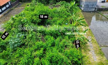 Tanah di semer kerobokan 261m² - view sawah