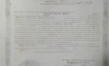 2,560 sqm Agricultural Land for Sale in Valencia Negros Oriental