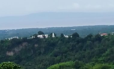 2,560 sqm Agricultural Land for Sale in Valencia Negros Oriental