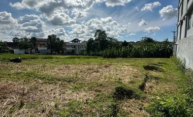 Lease hold land 1000m² - Tumbak Bayuh Pererenan Canggu