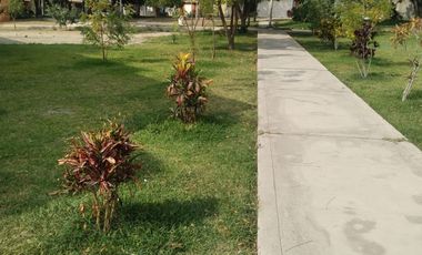 VENDO TERRENO FRENTE A PARQUE EN SANTA MARIA DEL PINAR, PIURA