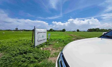 Beach Lot for Sale in Calatagan Batangas near in  Little Boracay