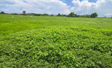 Beach Lot for Sale in Calatagan Batangas near in  Little Boracay