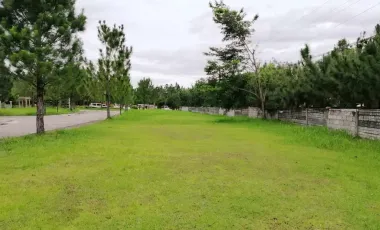 For Sale: 186 sqm RESIDENTIAL LOT CAMELLA MANDALAGAN