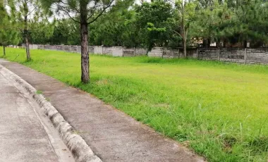 For Sale: 186 sqm RESIDENTIAL LOT CAMELLA MANDALAGAN