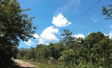 GEN. TINIO NIEVA ECIJA