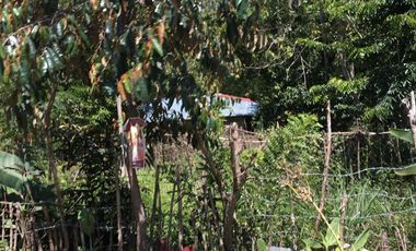 GEN. TINIO NIEVA ECIJA