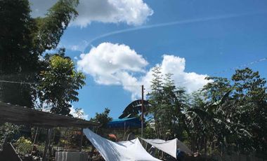 GEN. TINIO NIEVA ECIJA