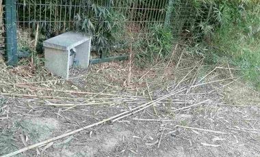 CASA CON BORDE DE LAGO MUELLE Y BAJADA DE LANCHA INDEPENDIENTE, CUENTA CON RECEPCIÓN FINAL