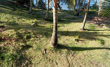 resort for sale