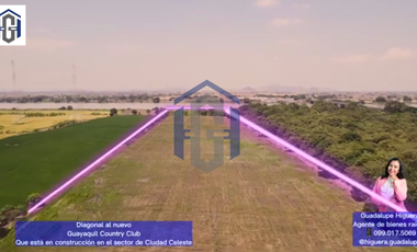 Terreno Industrial/Comercial de 60.000 m2 en Venta - Vía al Pan, Ecuador