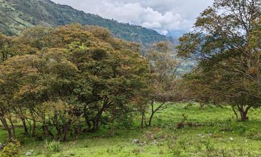 Finca en Guaca Santander a 3 cuadras del casco urbano